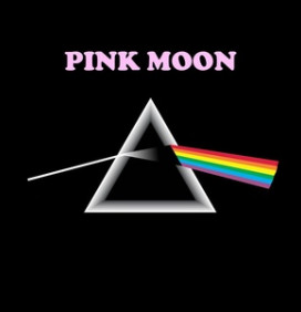 Pink Moon